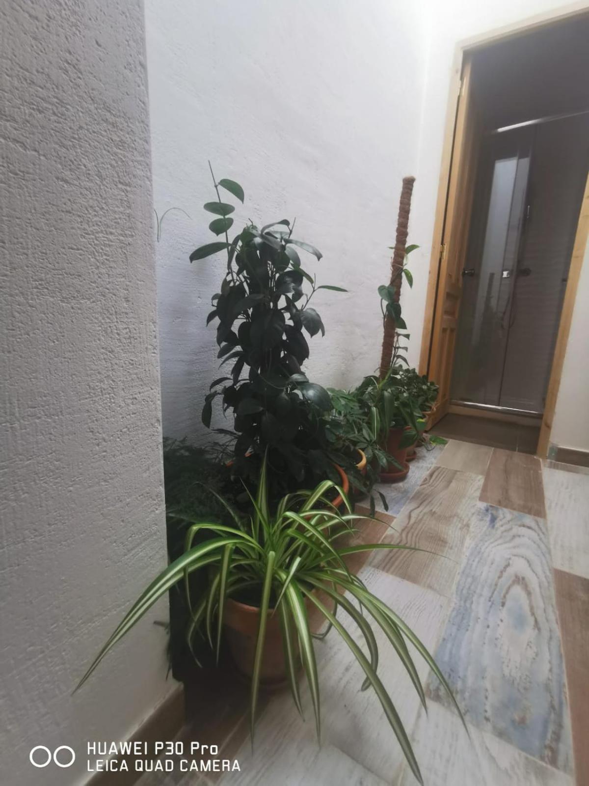 Cassa Beata En La Colina Accommodatie bij particulieren
